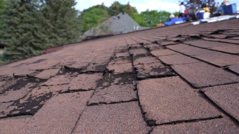 Best 4 Ply Roofing  in Beardstown, IL
