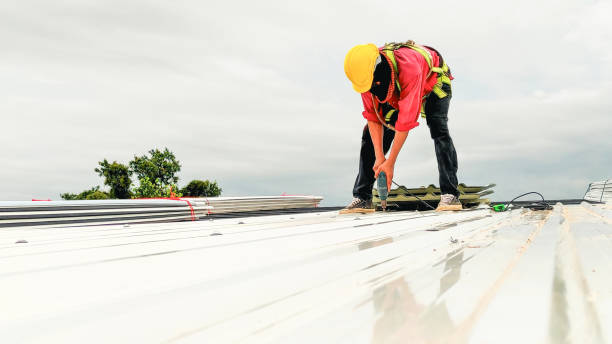Best Chimney Flashing Repair  in Beardstown, IL