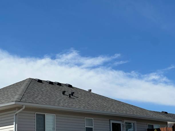 Best Roof Ventilation Installation  in Beardstown, IL
